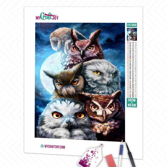 Owls - DIY Diamond Painting Kit