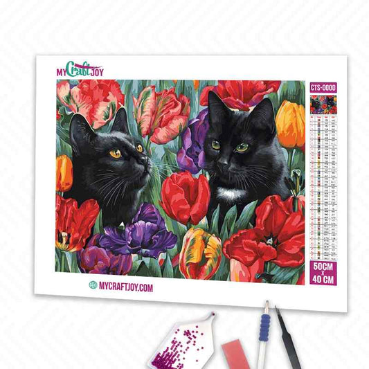 Cats - DIY Diamond Painting Kit