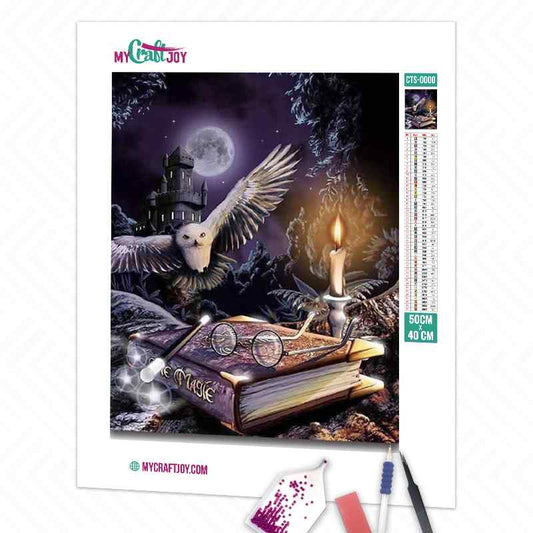 Harry Potter - DIY Diamond Painting Kit