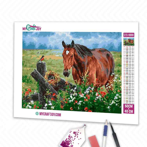 Horse - DIY Diamond Painting Kit