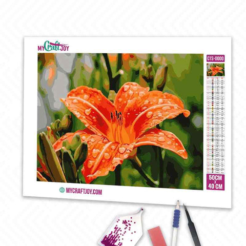 Flowers - DIY Diamond Painting Kit