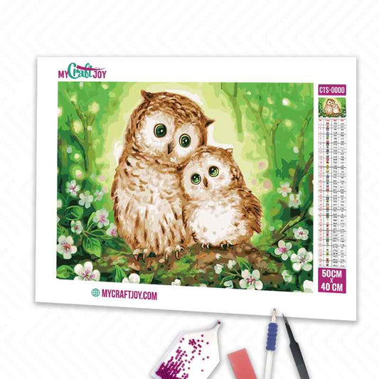 Owls - DIY Diamond Painting Kit