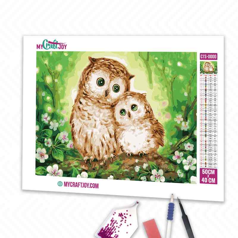 Owls - DIY Diamond Painting Kit