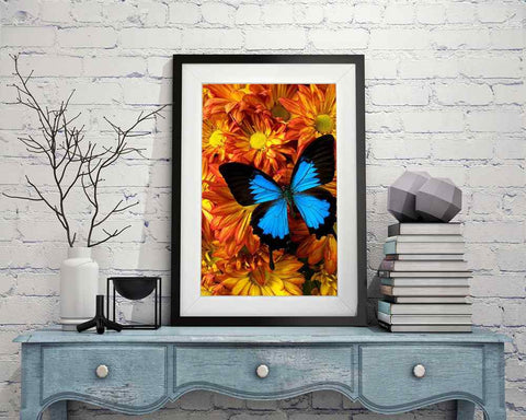 Butterfly - DIY Diamond Painting Kit