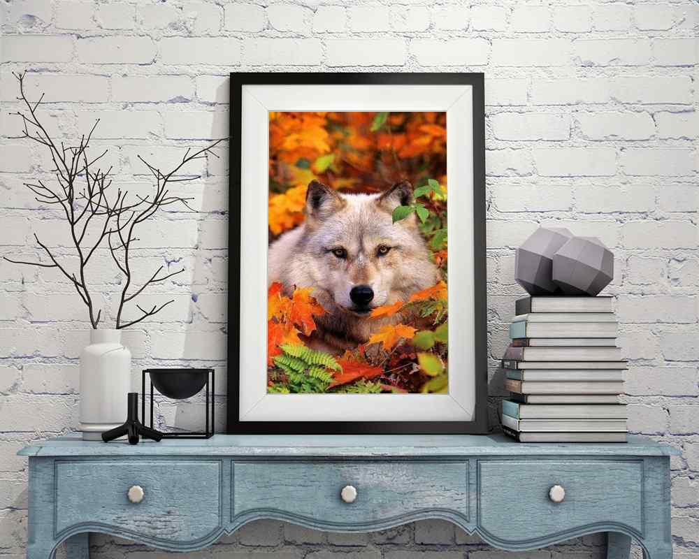 Wolf - DIY Diamond Painting Kit