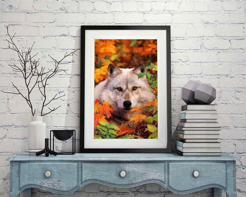 Wolf - DIY Diamond Painting Kit