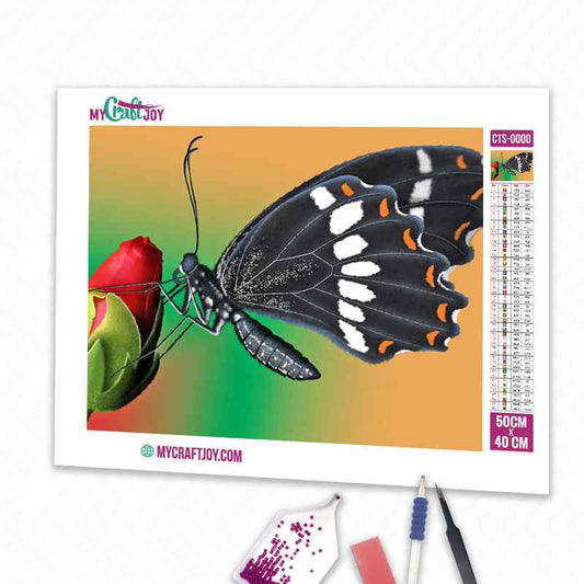 Butterfly - DIY Diamond Painting Kit