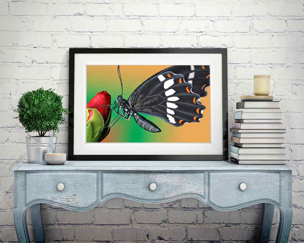 Butterfly - DIY Diamond Painting Kit