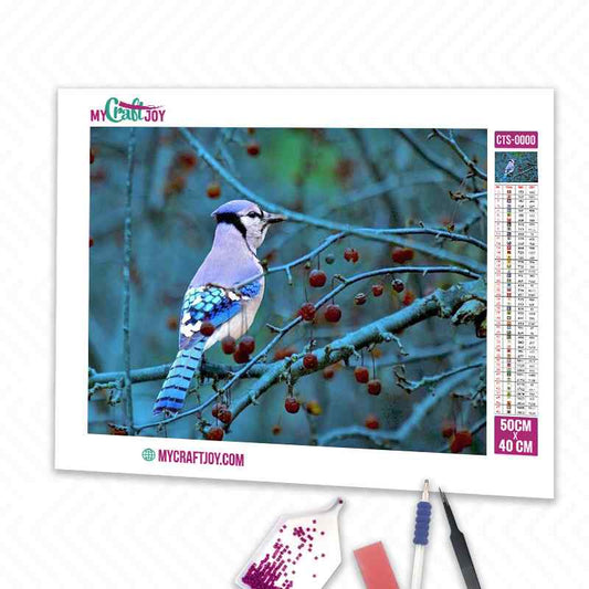 Bird - DIY Diamond Painting Kit