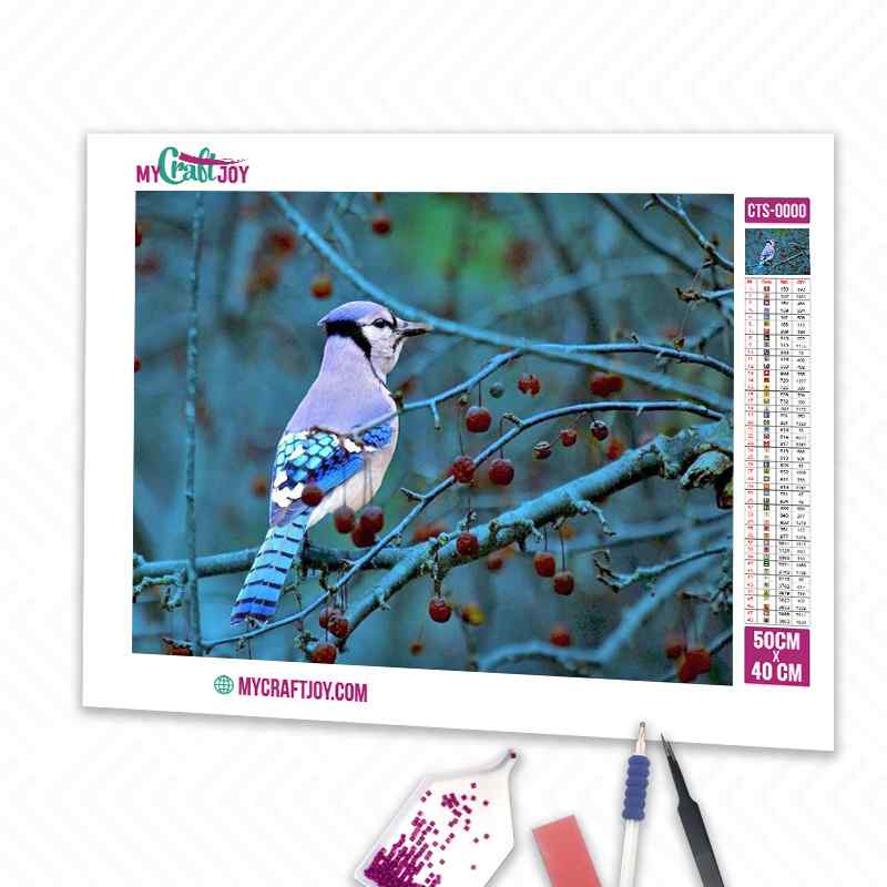 Bird - DIY Diamond Painting Kit