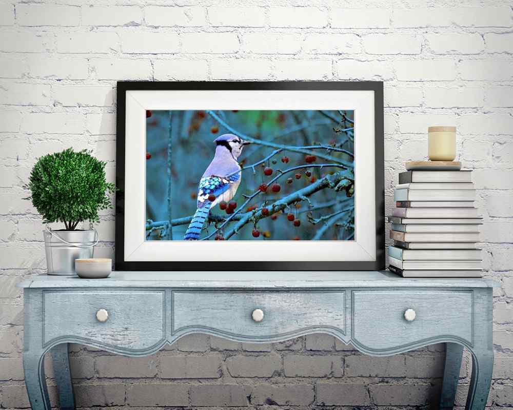 Bird - DIY Diamond Painting Kit