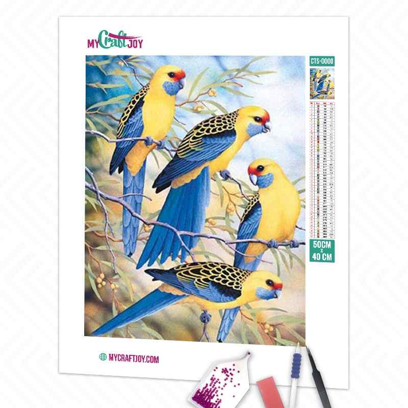 Parrots - DIY Diamond Painting Kit
