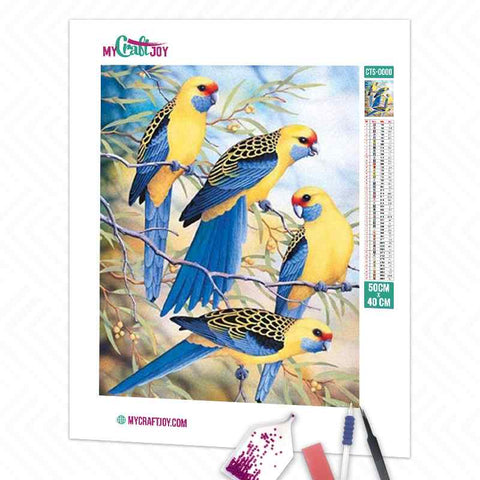 Parrots - DIY Diamond Painting Kit