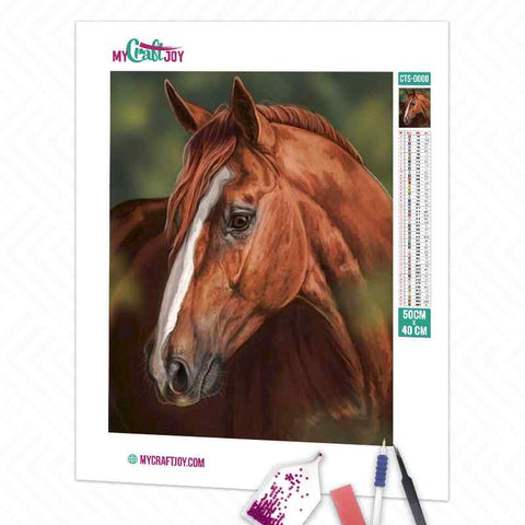 Horse - DIY Diamond Painting Kit