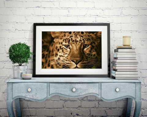 Leopard - DIY Diamond Painting Kit