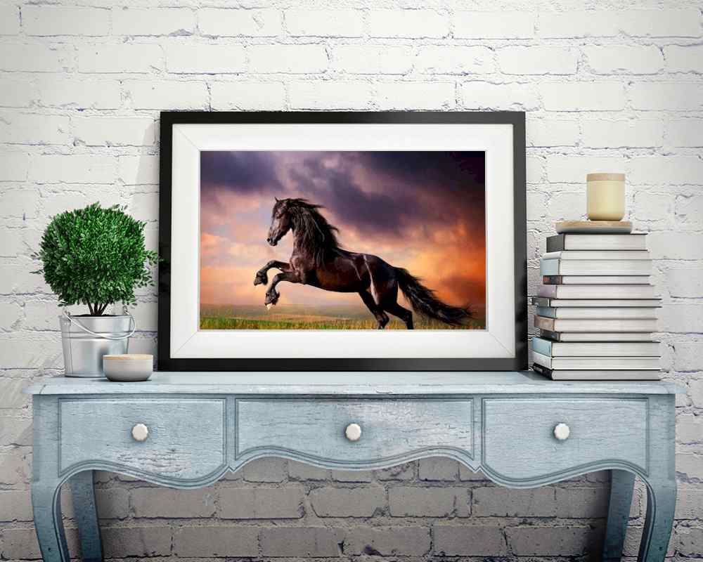 Horse - DIY Diamond Painting Kit