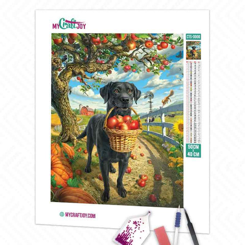 Dog - DIY Diamond Painting Kit