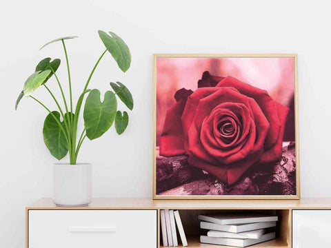 Rose - DIY Diamond Painting Kit